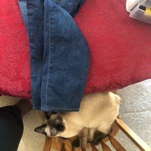 Big star Jeans purchased at the buckle